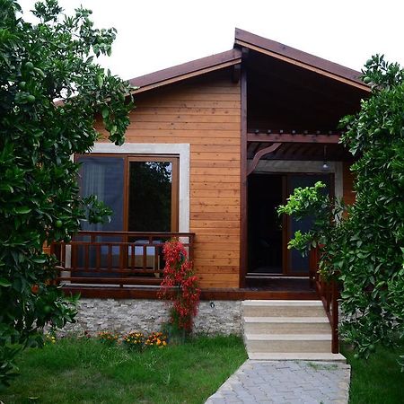 Villa Bilge Çıralı Chambre photo