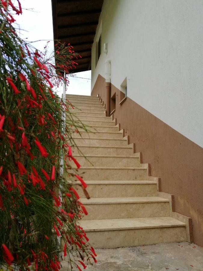 Villa Bilge Çıralı Extérieur photo