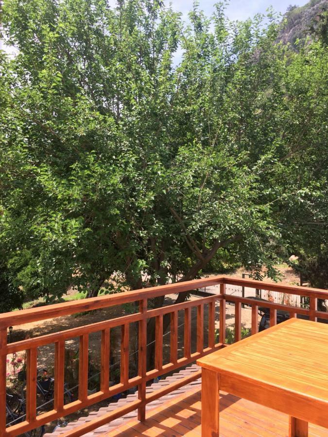 Villa Bilge Çıralı Extérieur photo