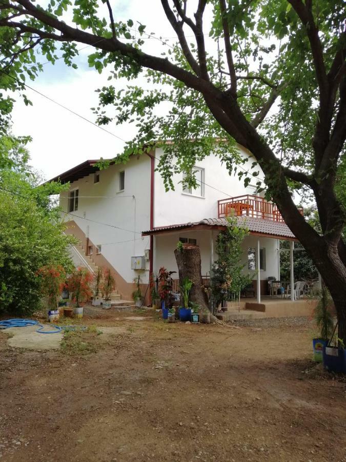 Villa Bilge Çıralı Extérieur photo