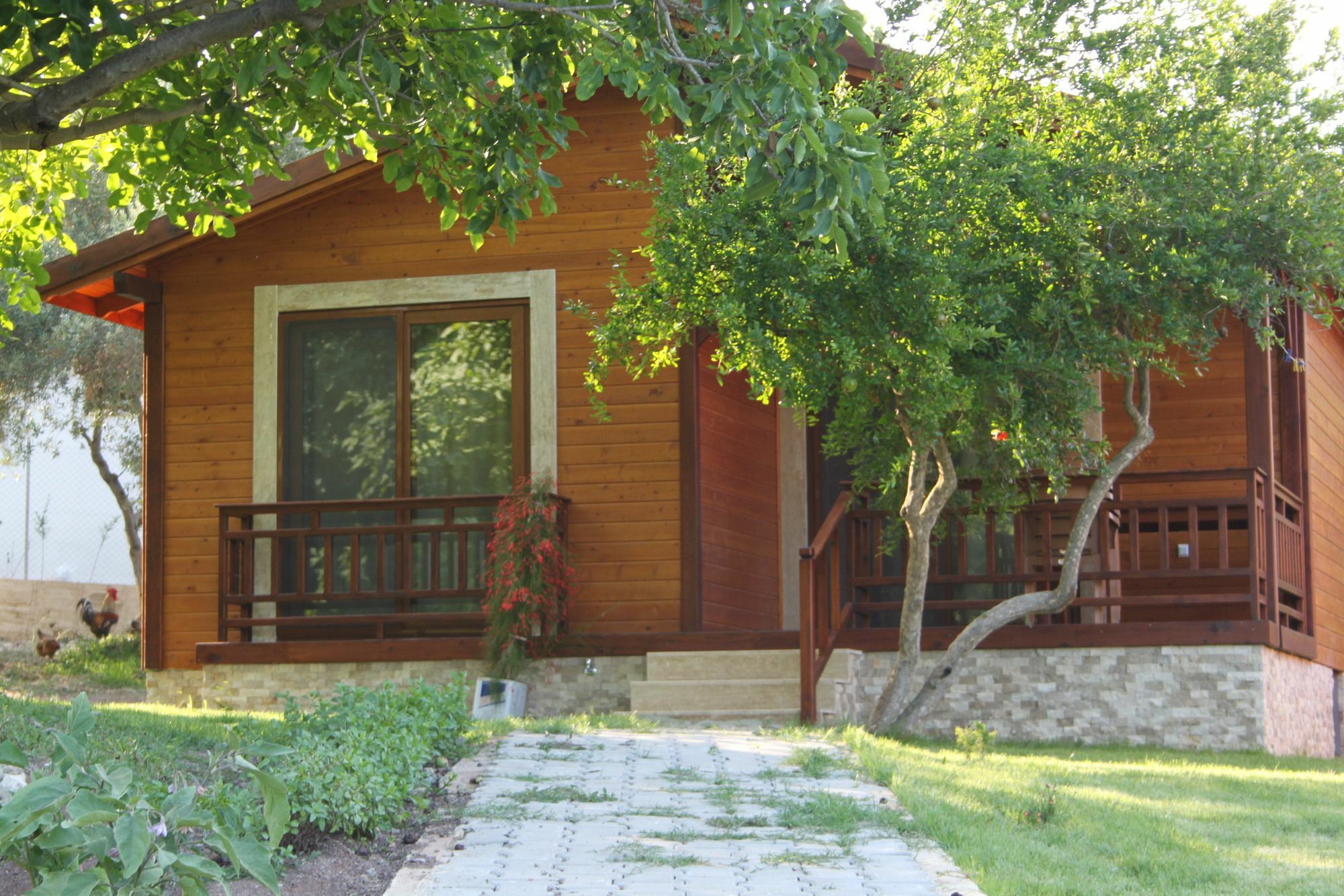 Villa Bilge Çıralı Extérieur photo