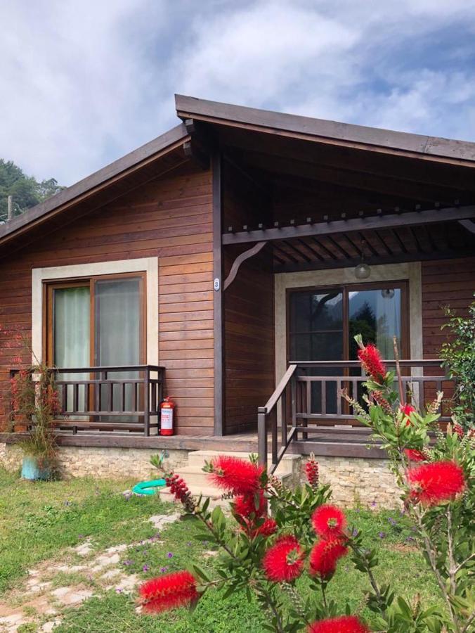 Villa Bilge Çıralı Extérieur photo