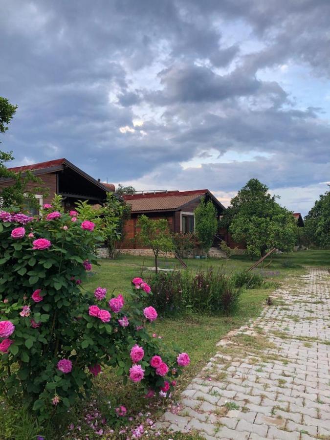 Villa Bilge Çıralı Extérieur photo