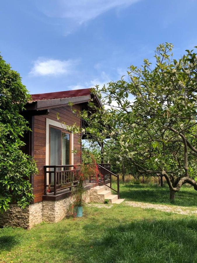 Villa Bilge Çıralı Extérieur photo