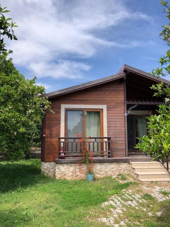 Villa Bilge Çıralı Extérieur photo